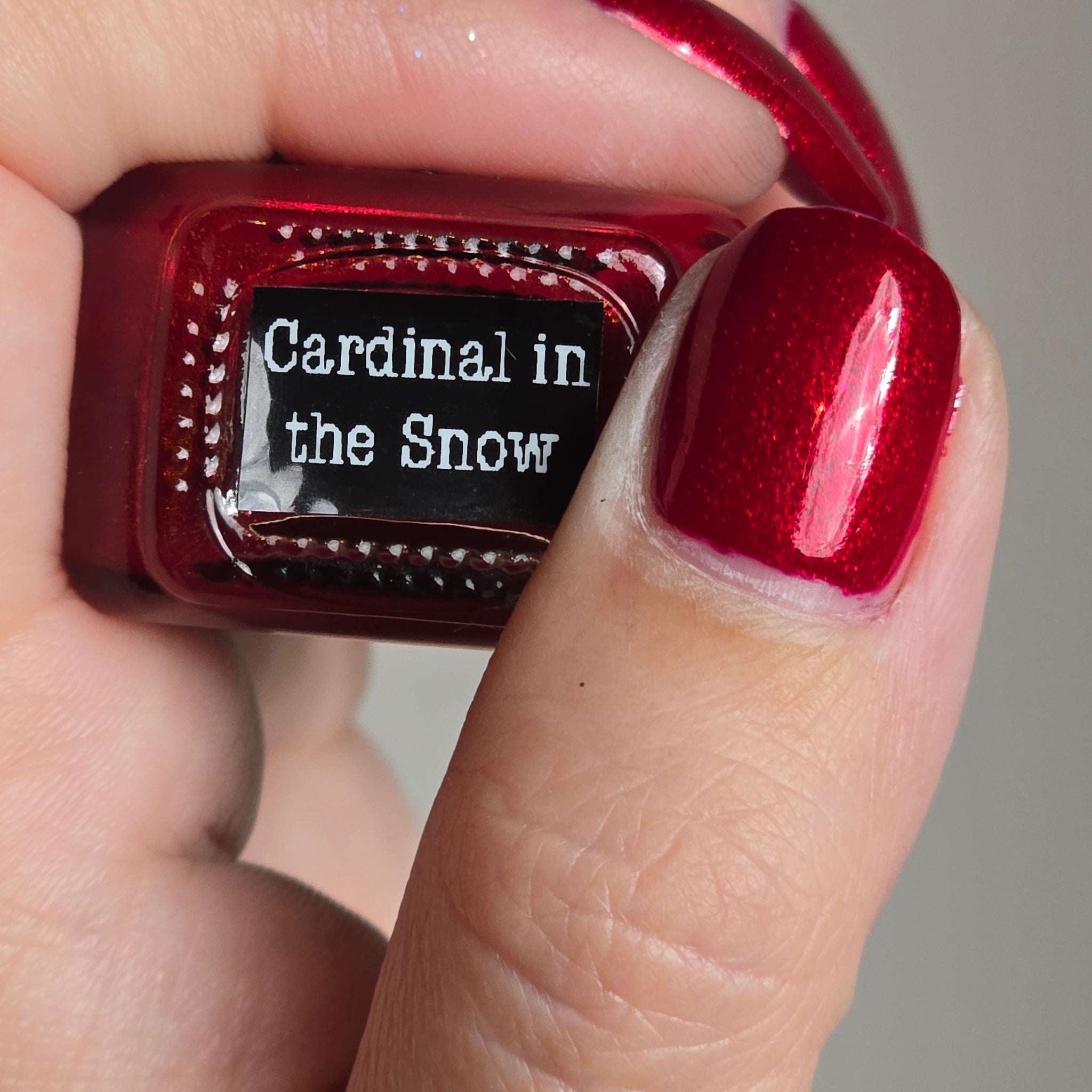 Cardinal in the Snow