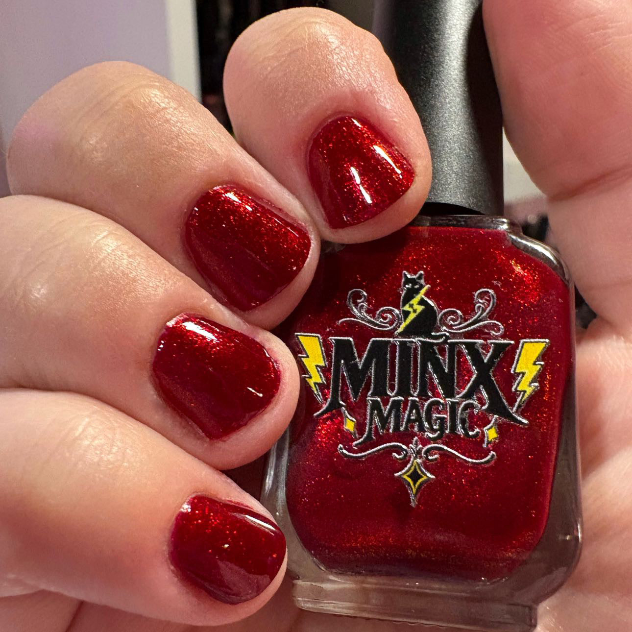 Cardinal in the Snow